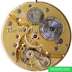 Alpina 19'''H6.3 hunter