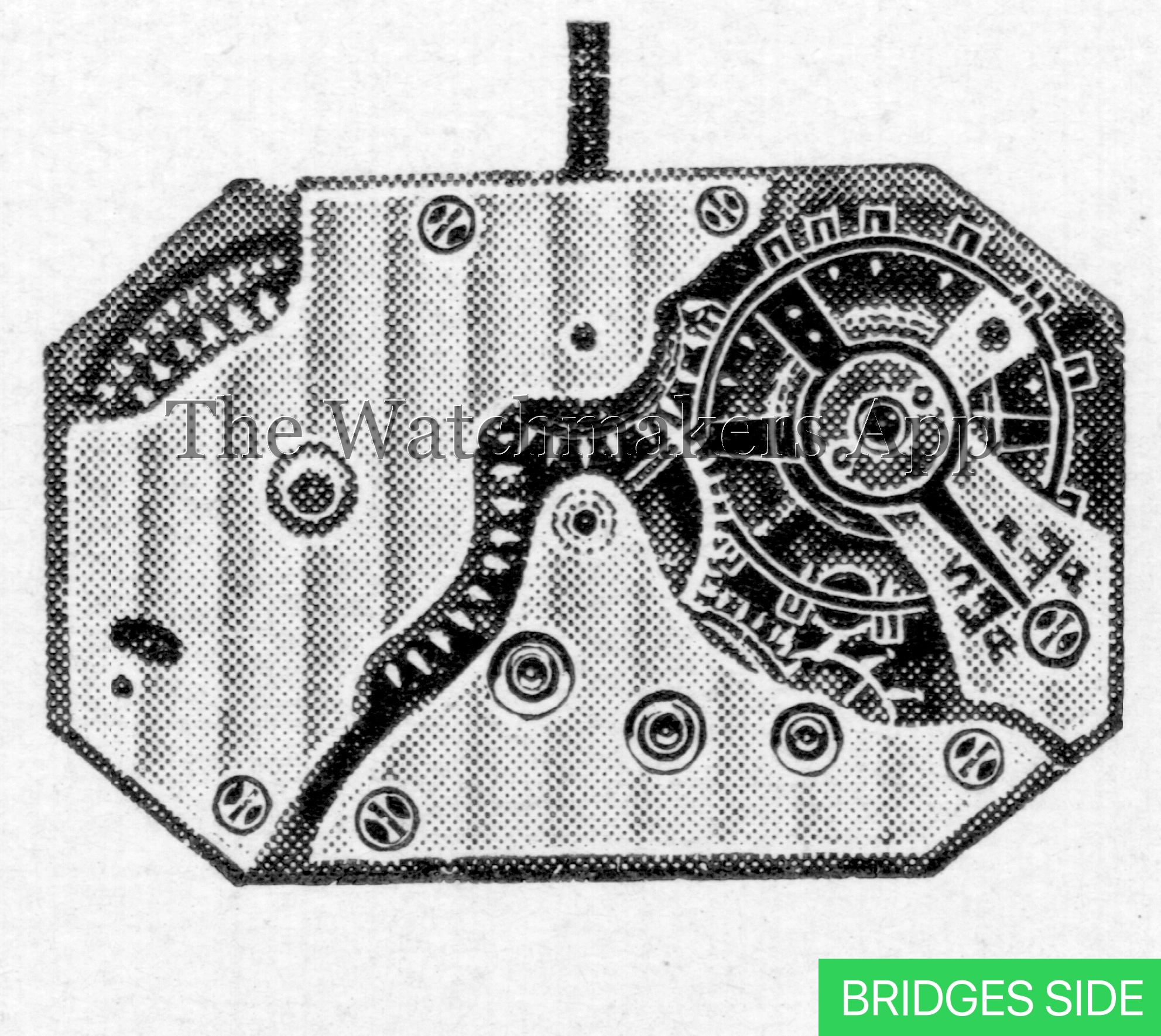 Aurore-Villeret 10 Pateck