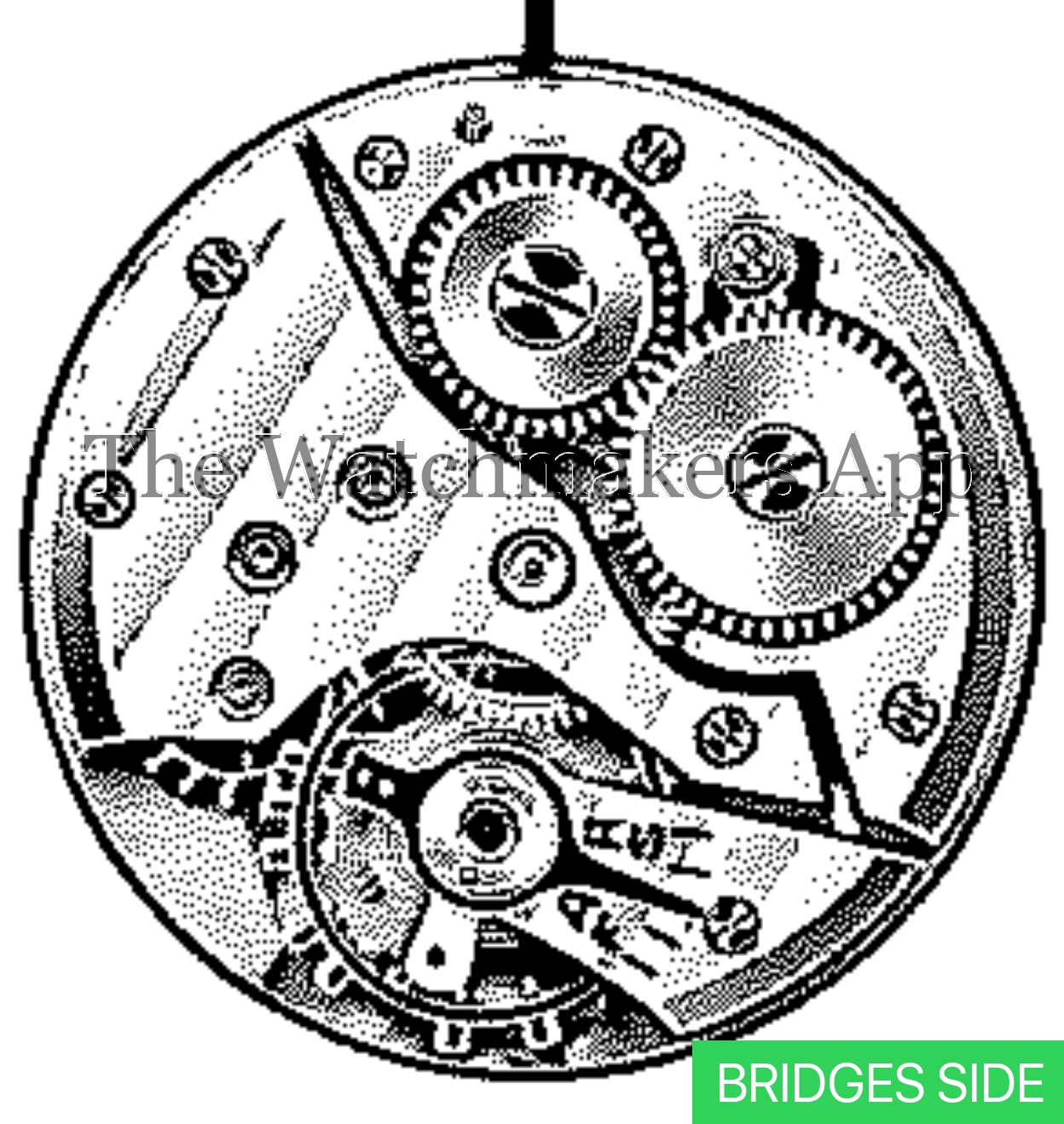 Aurore-Villeret 42