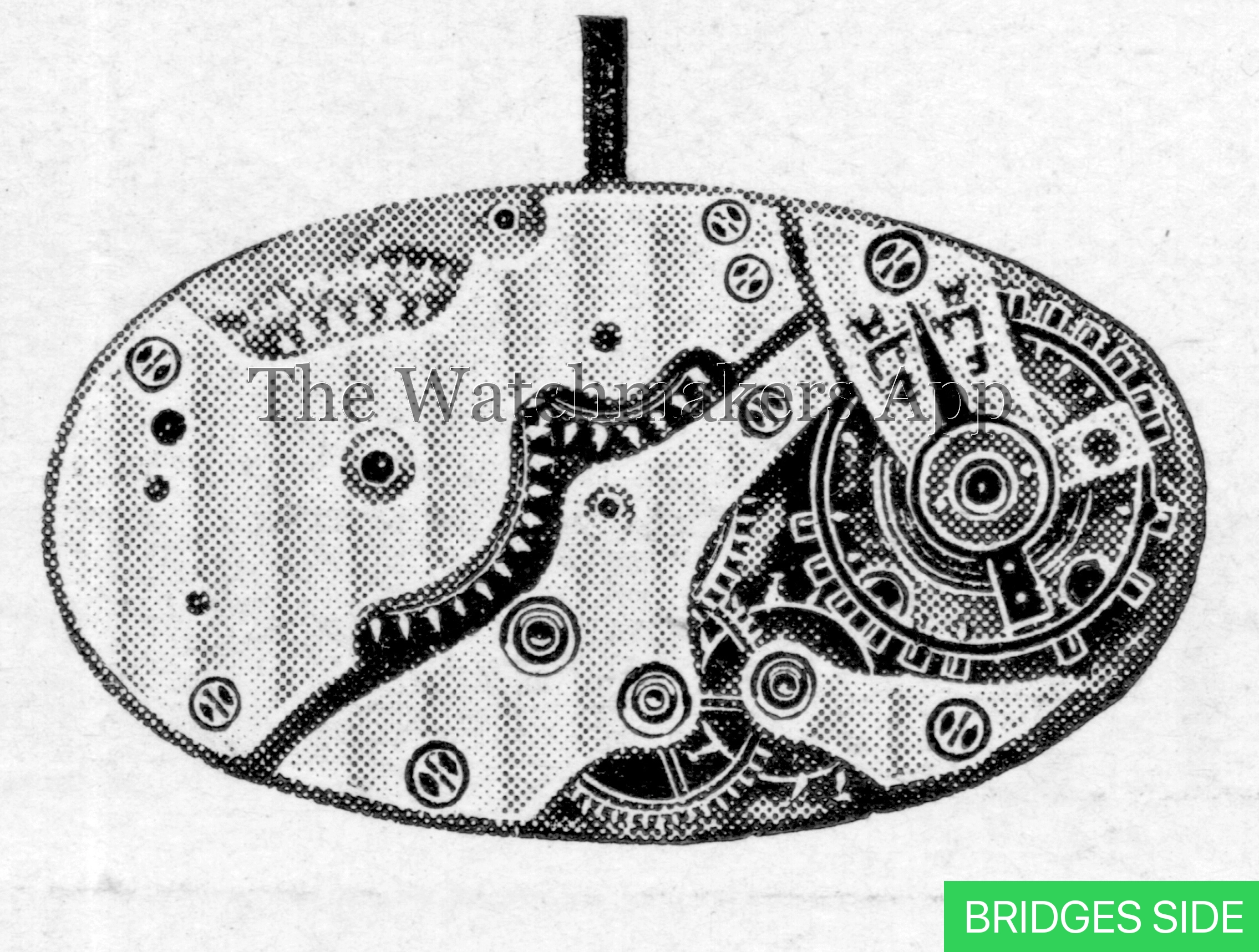 Aurore-Villeret 9 Pateck ovales