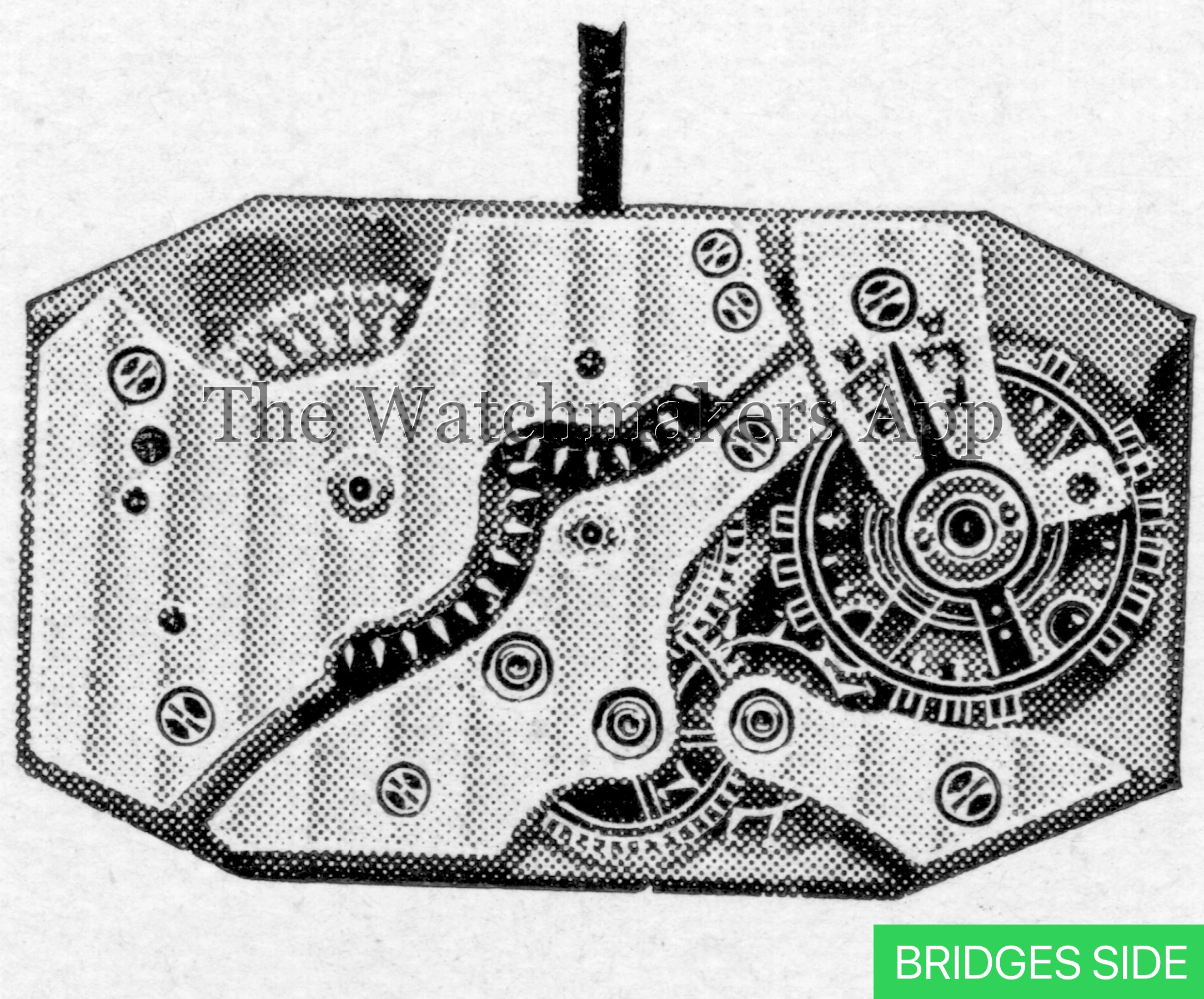 Aurore-Villeret 9 Pateck rectangle