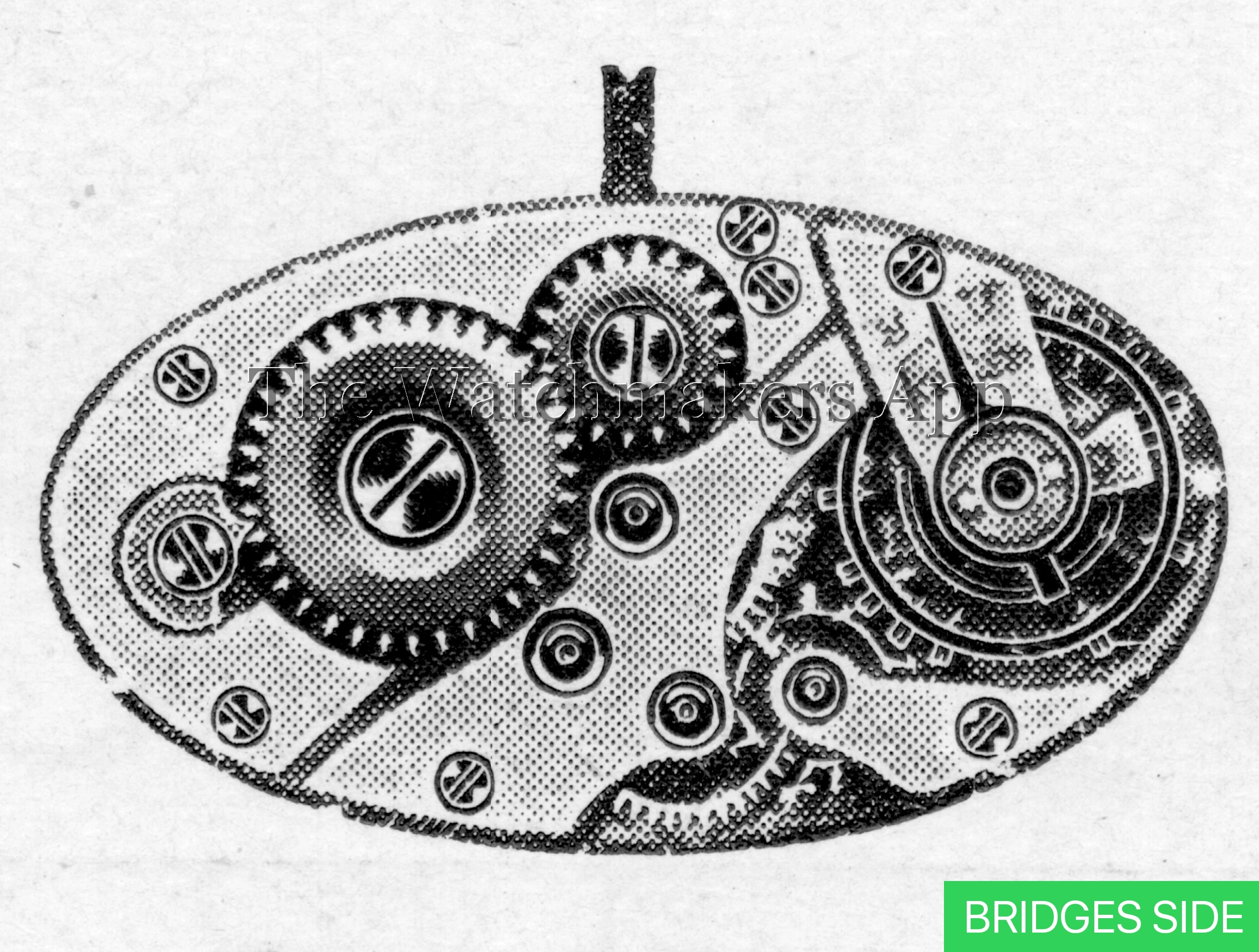 Aurore-Villeret 9 ovales