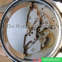 Baumgartner 1582(CLD)