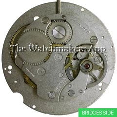 Baumgartner 582(CLDD)