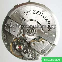 Citizen 8100