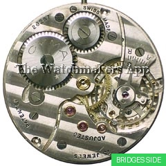 Cyma 15'''B open face