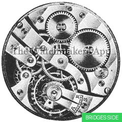 Cyma 19'''10B hunter