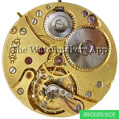 Doxa 1, 19''' hunter