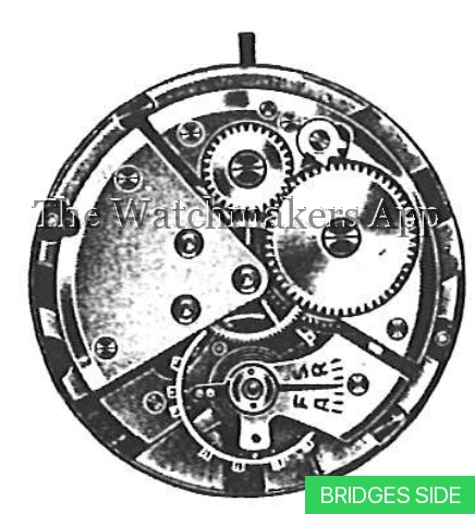 ETA 1115