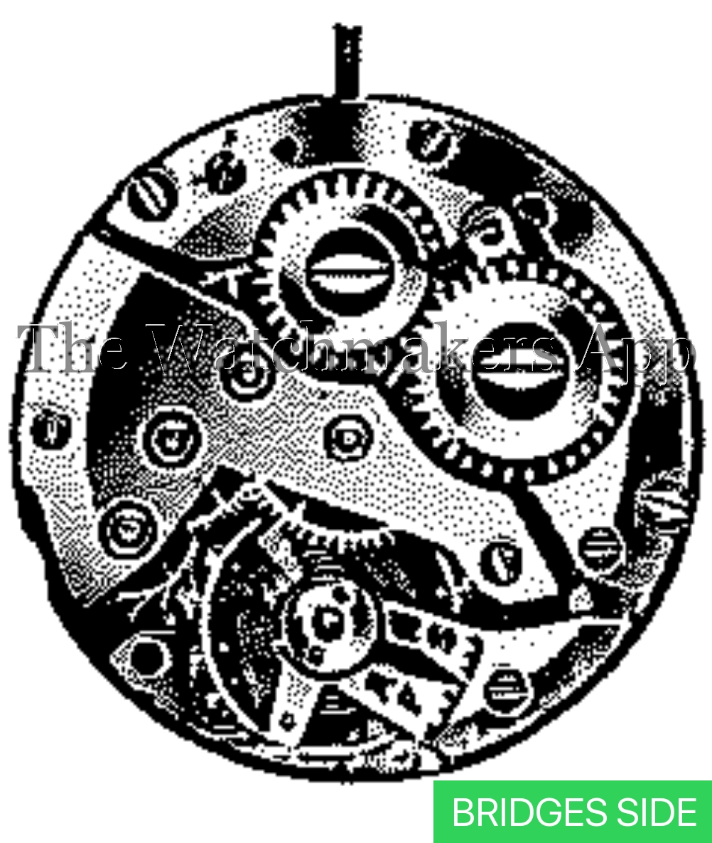 FHF 206-1