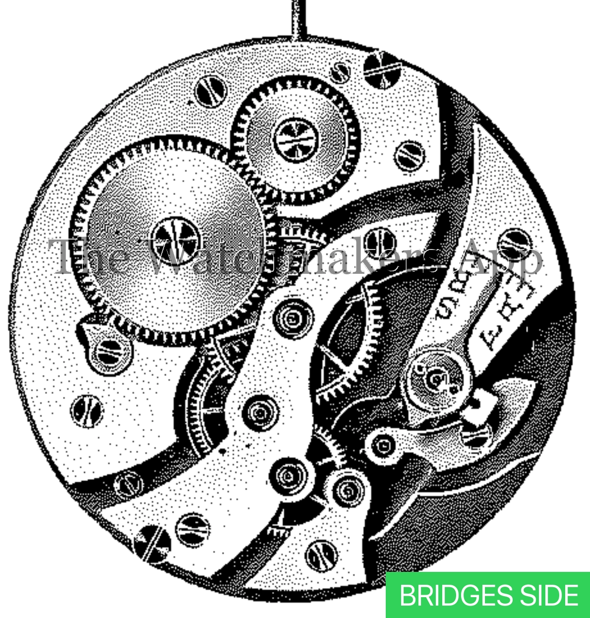 FHF 33, 17''' open face
