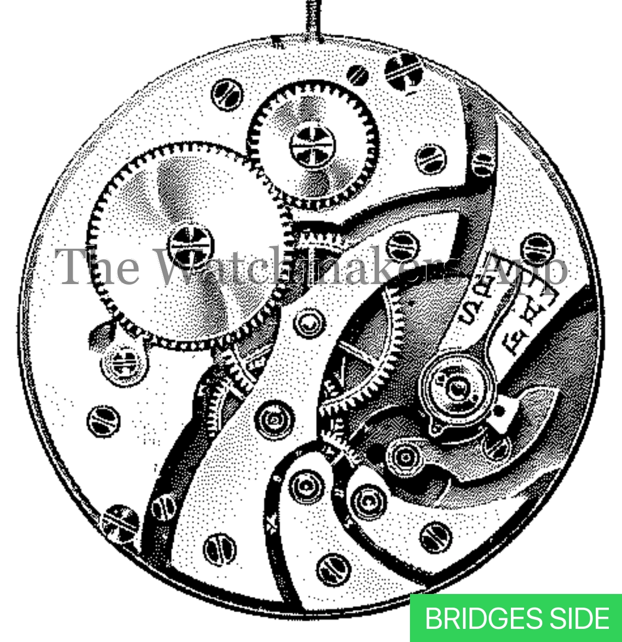FHF 34, 17''' open face