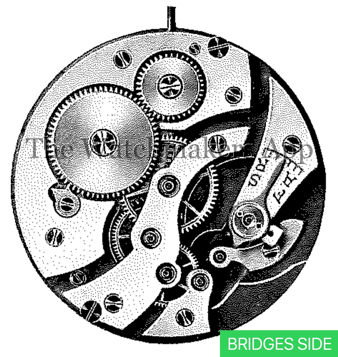 FHF 41, 16.5''' open face