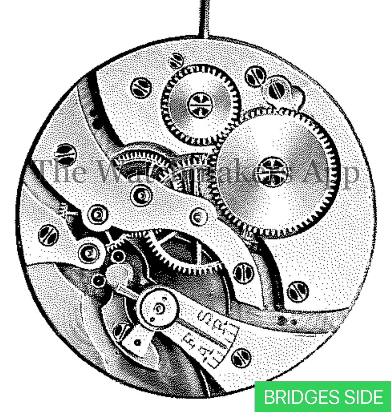 FHF 44, 16''' hunter