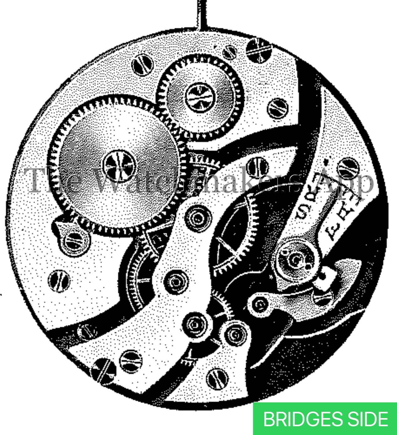 FHF 46, 17''' open face