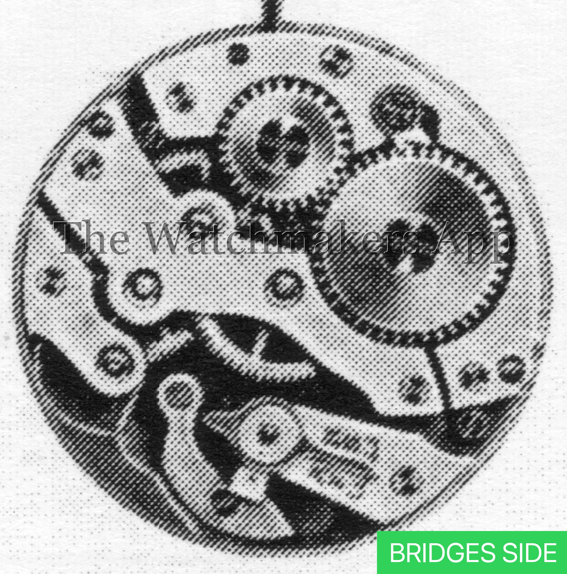 FHF 6, 9.75''' H3.75