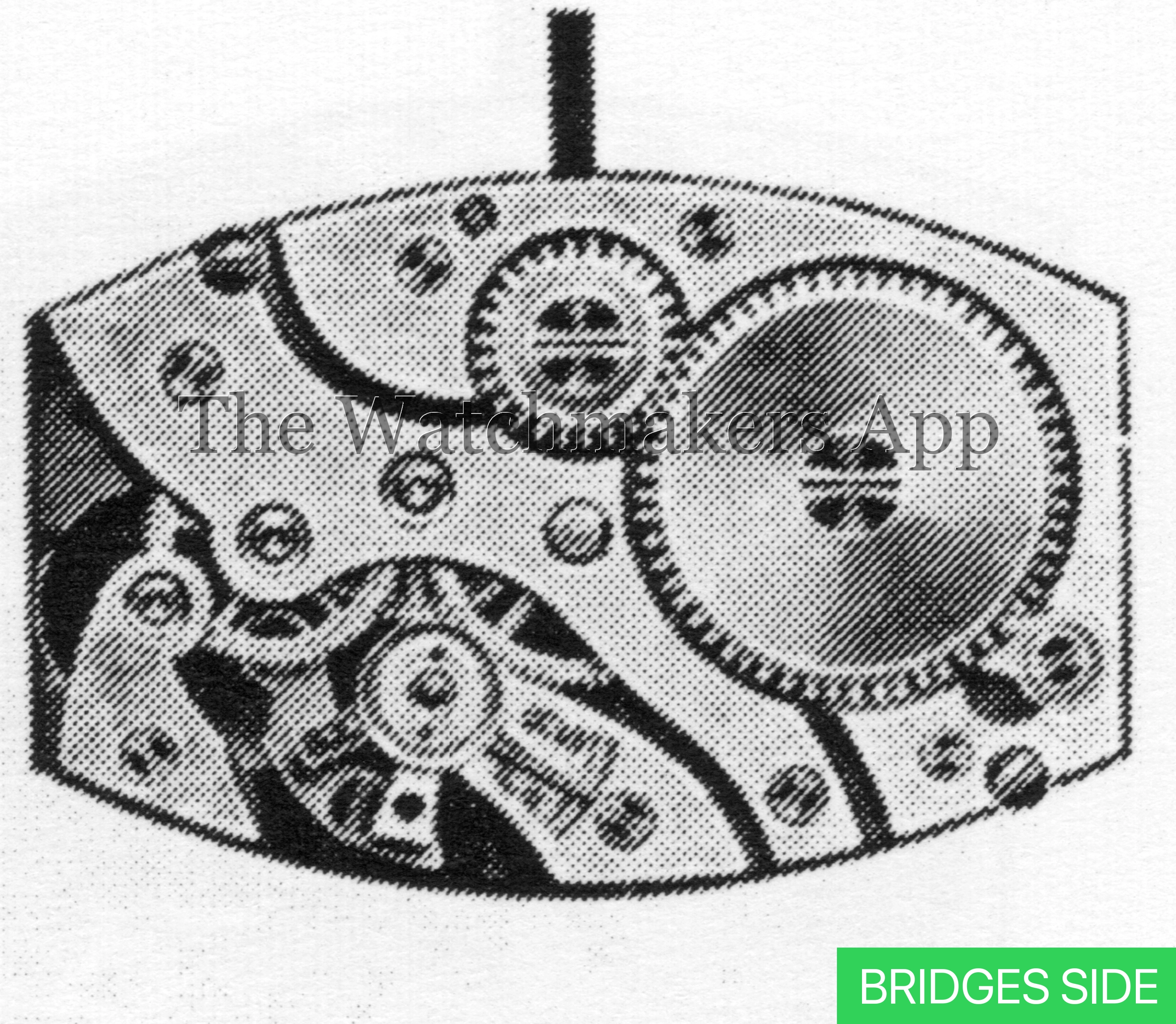 FHF 8044, 8.5 x 13'''