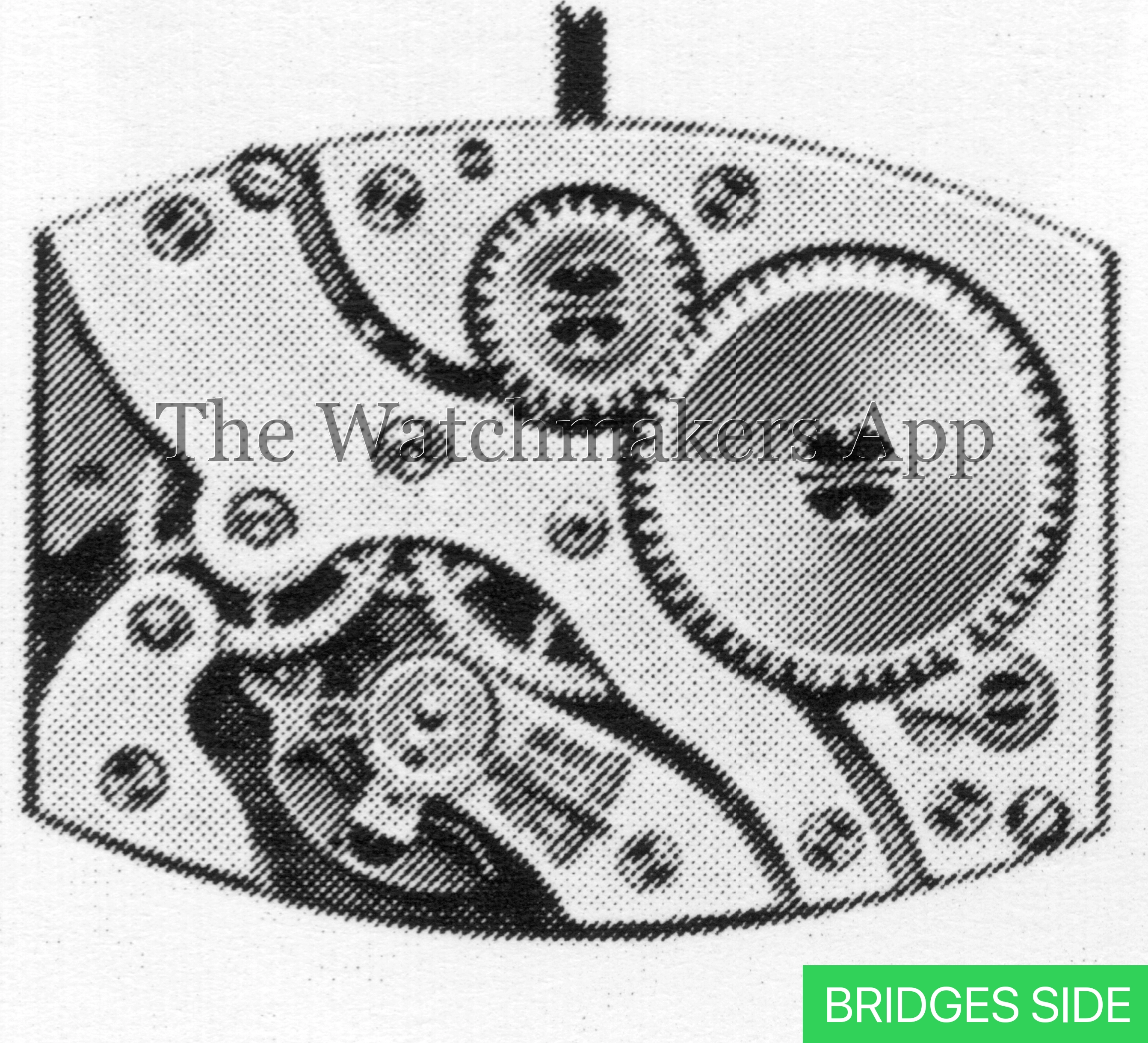 FHF 8044, 8.75 x 12'''