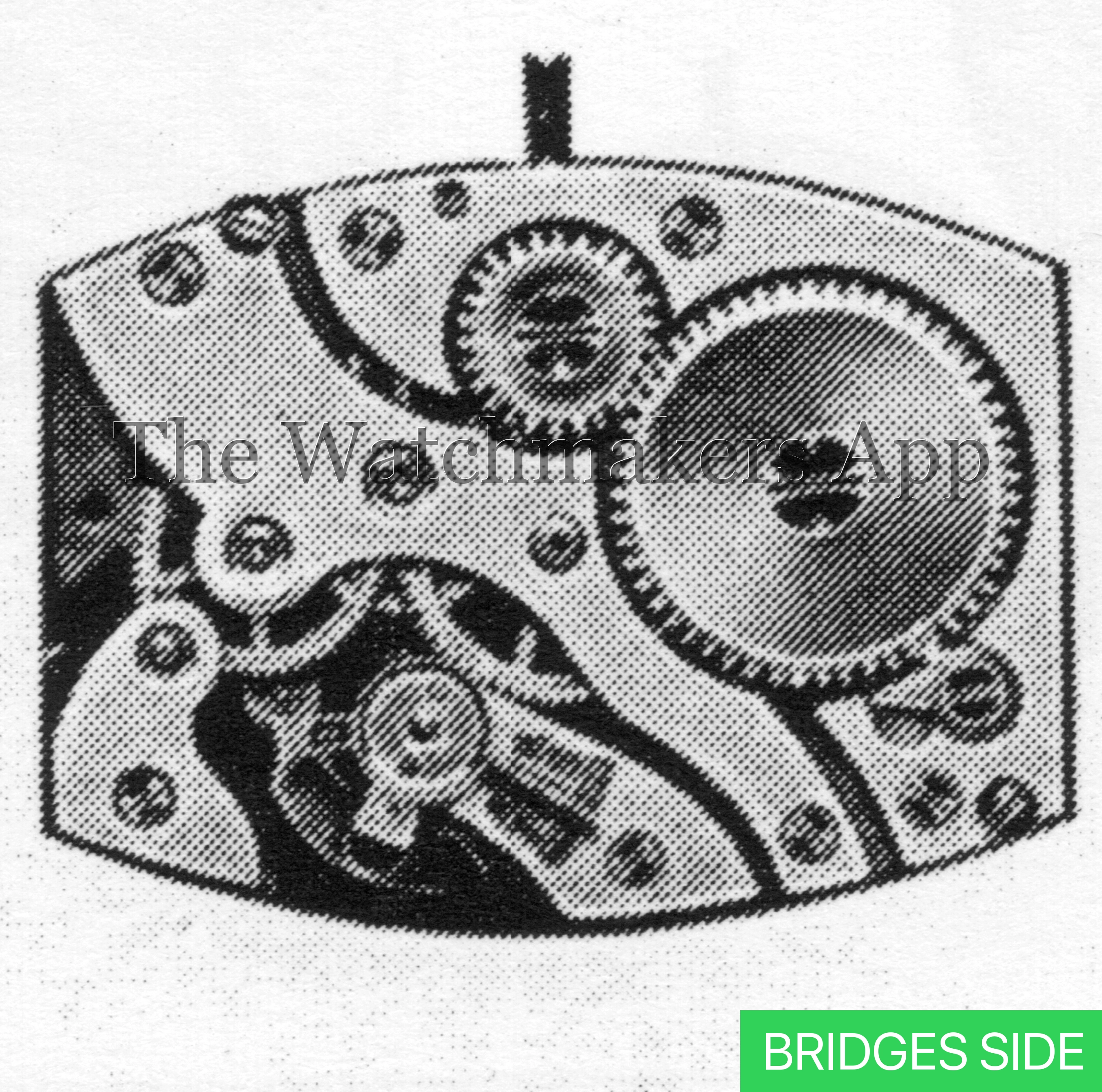 FHF 8244, 8.75 x 12''' H3.29