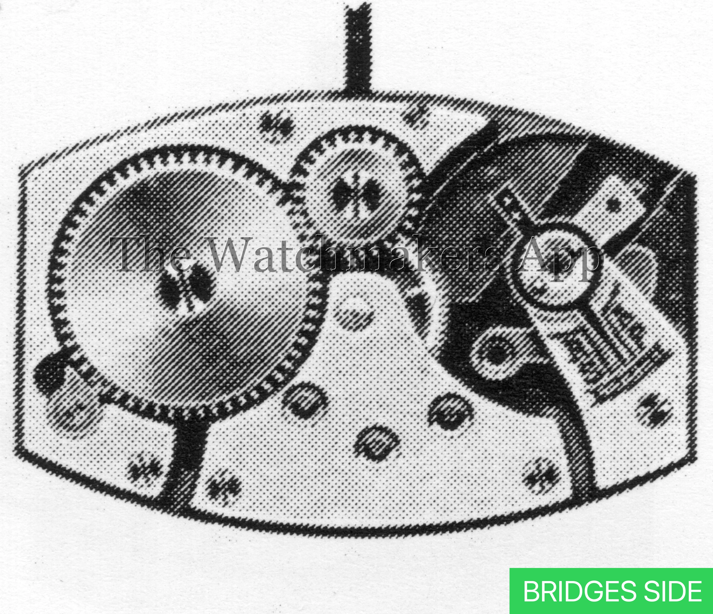 FHF 8444, 8.5 x 13'''