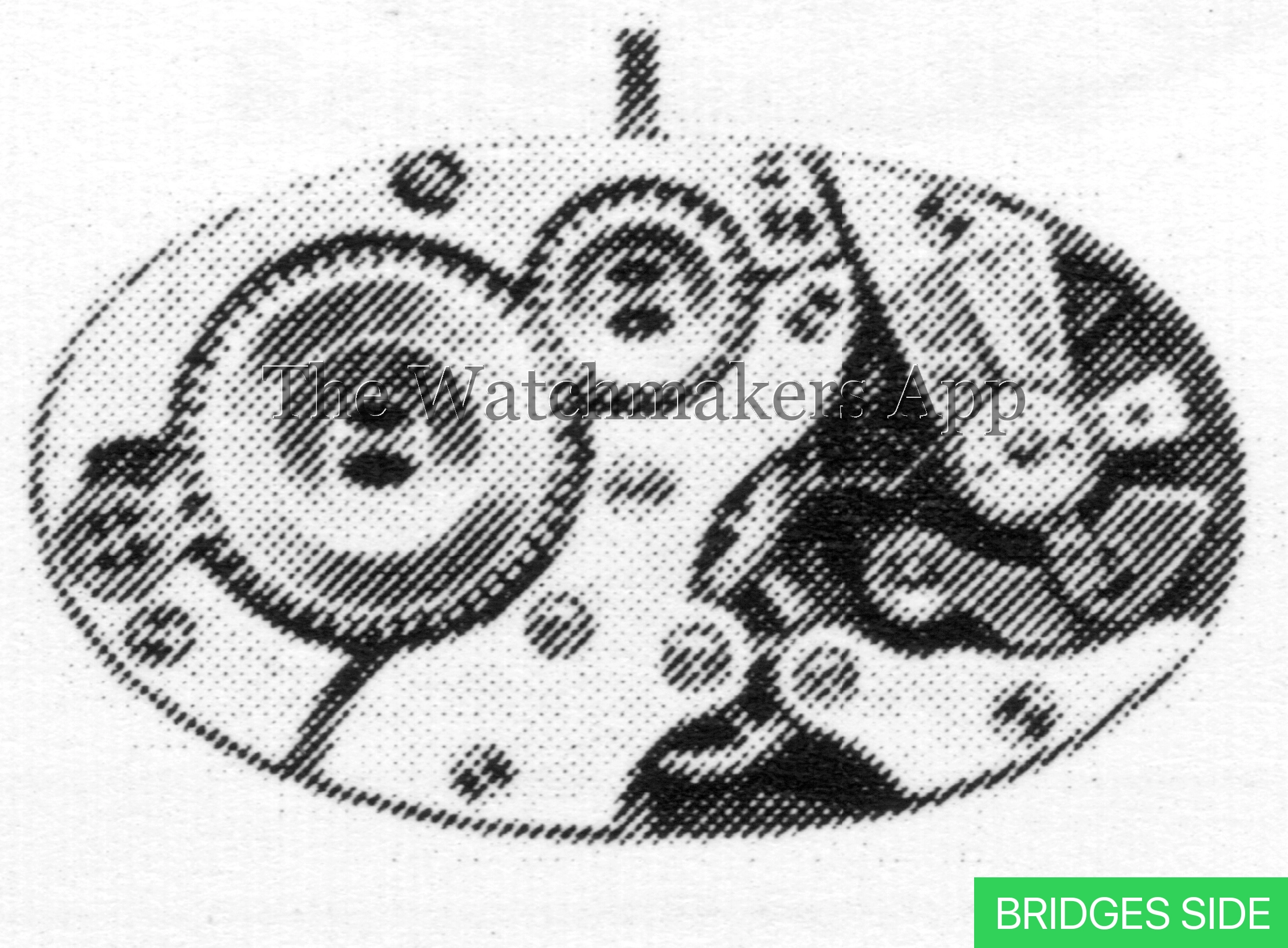 FHF 9244, 5.5 x 10'''