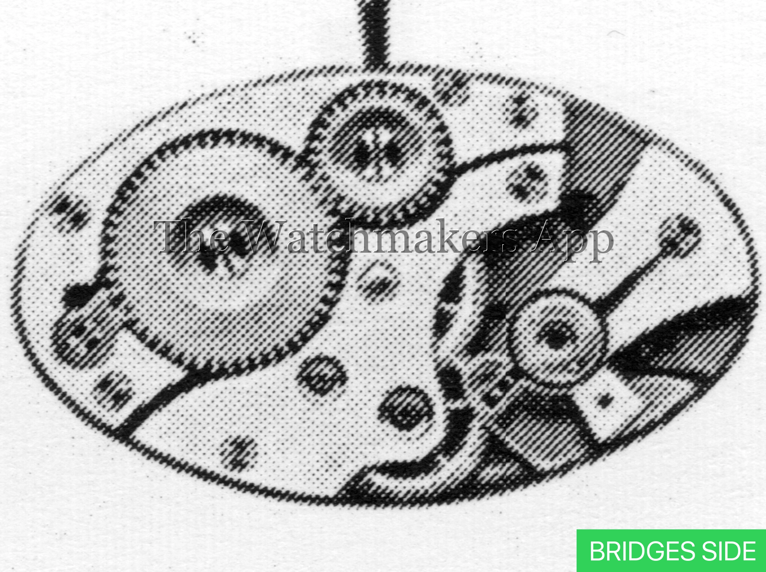 FHF 9332, 6.5 x 11'''