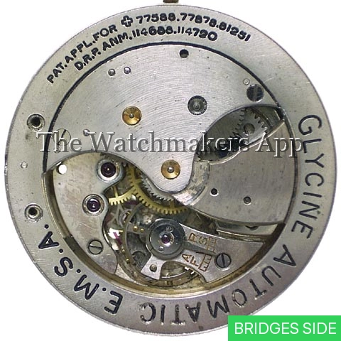 Glycine Eugene Meylan