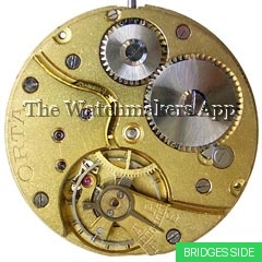 Helvetia 18.5''' H4.8