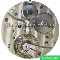 Helvetia 18.5''' H5.5