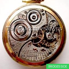 Illinois Bunn Special