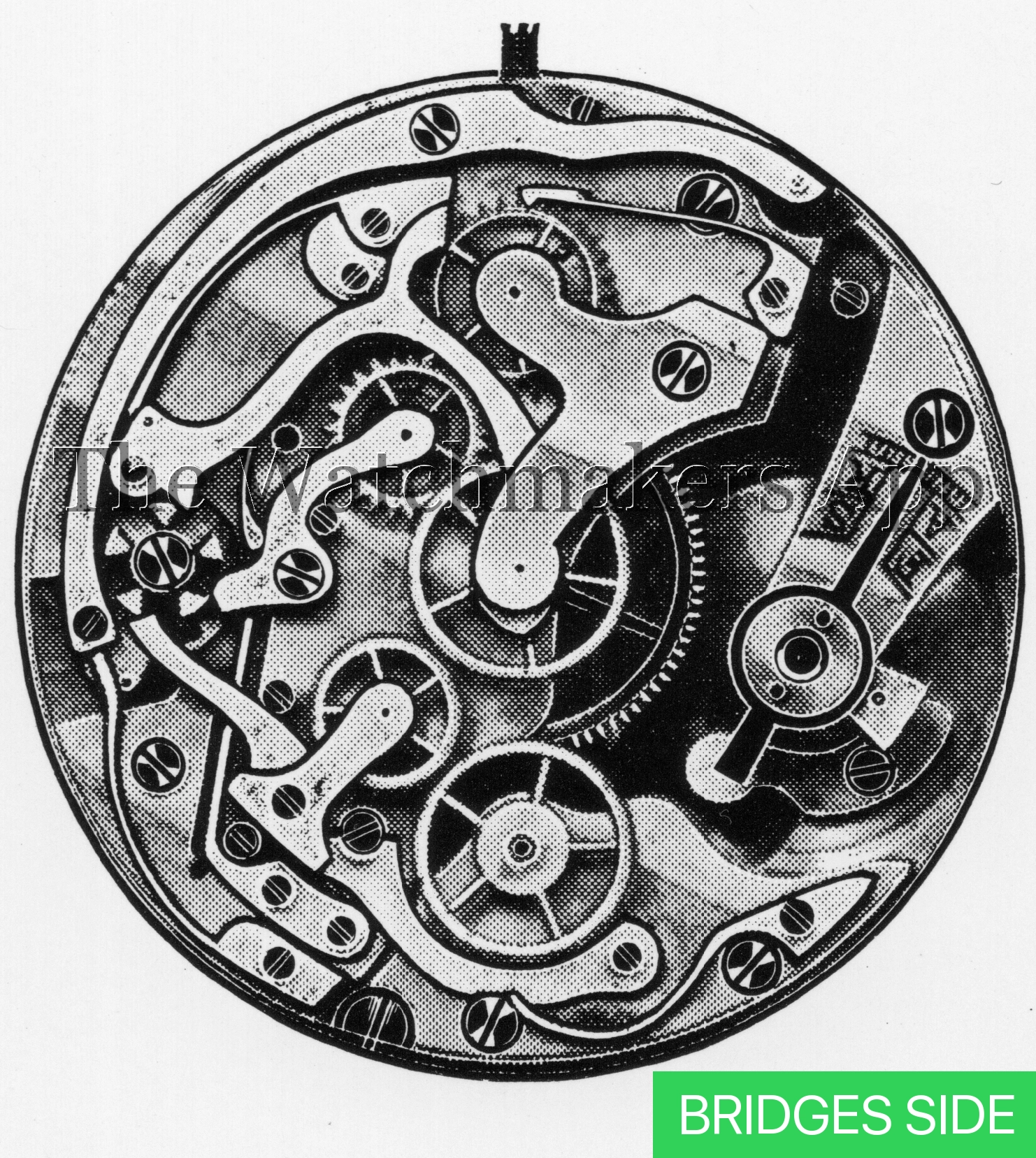 Landeron 14.5-15.5 monopusher