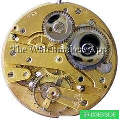 Moeris 19'''D hunter