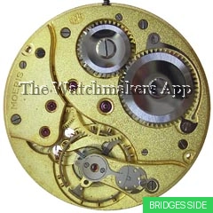 Moeris 19'''J hunter