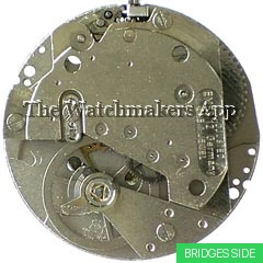 Müller-Schlenker 12