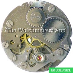 Müller-Schlenker 17a