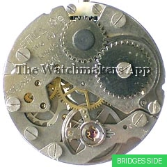 Müller-Schlenker 18a