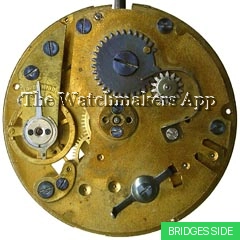 Müller-Schlenker 21