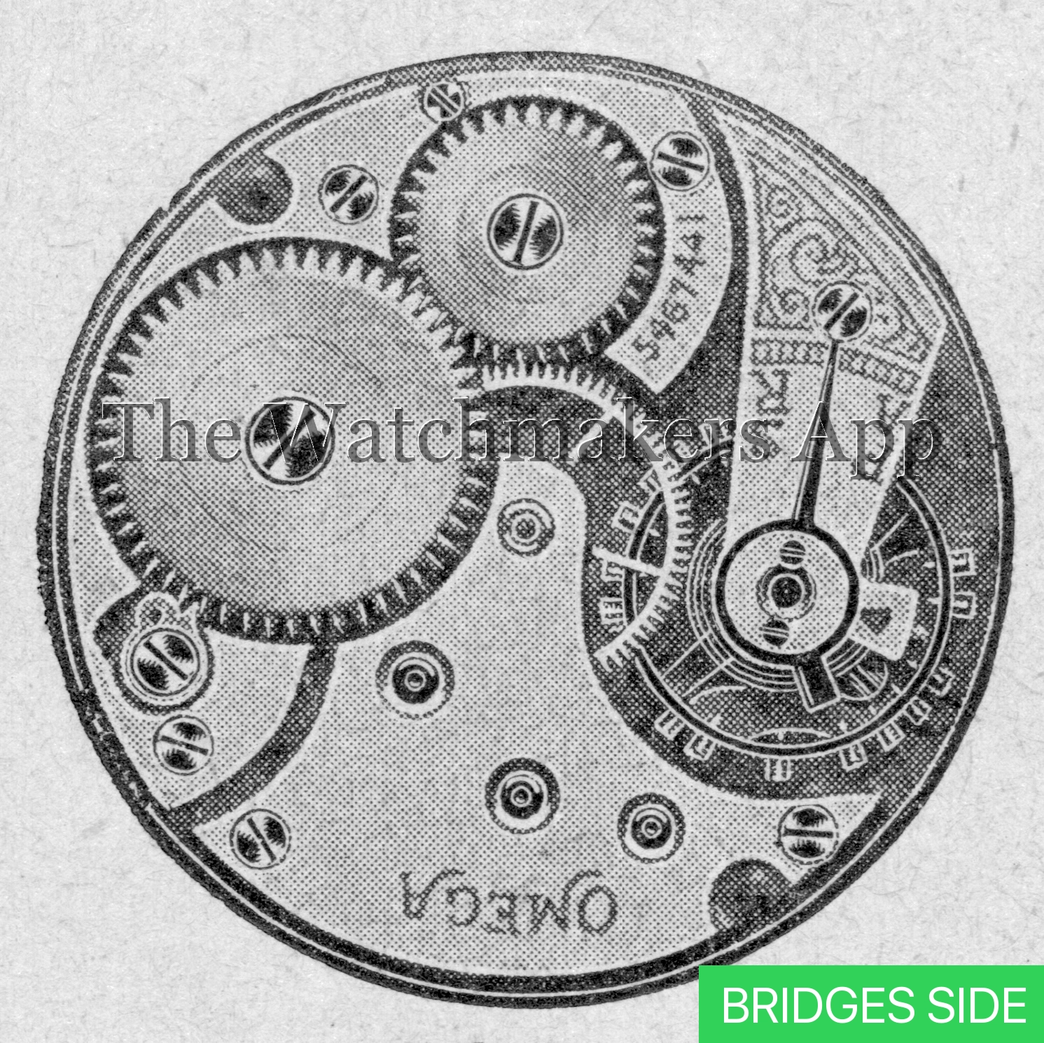 Omega 13''' open face