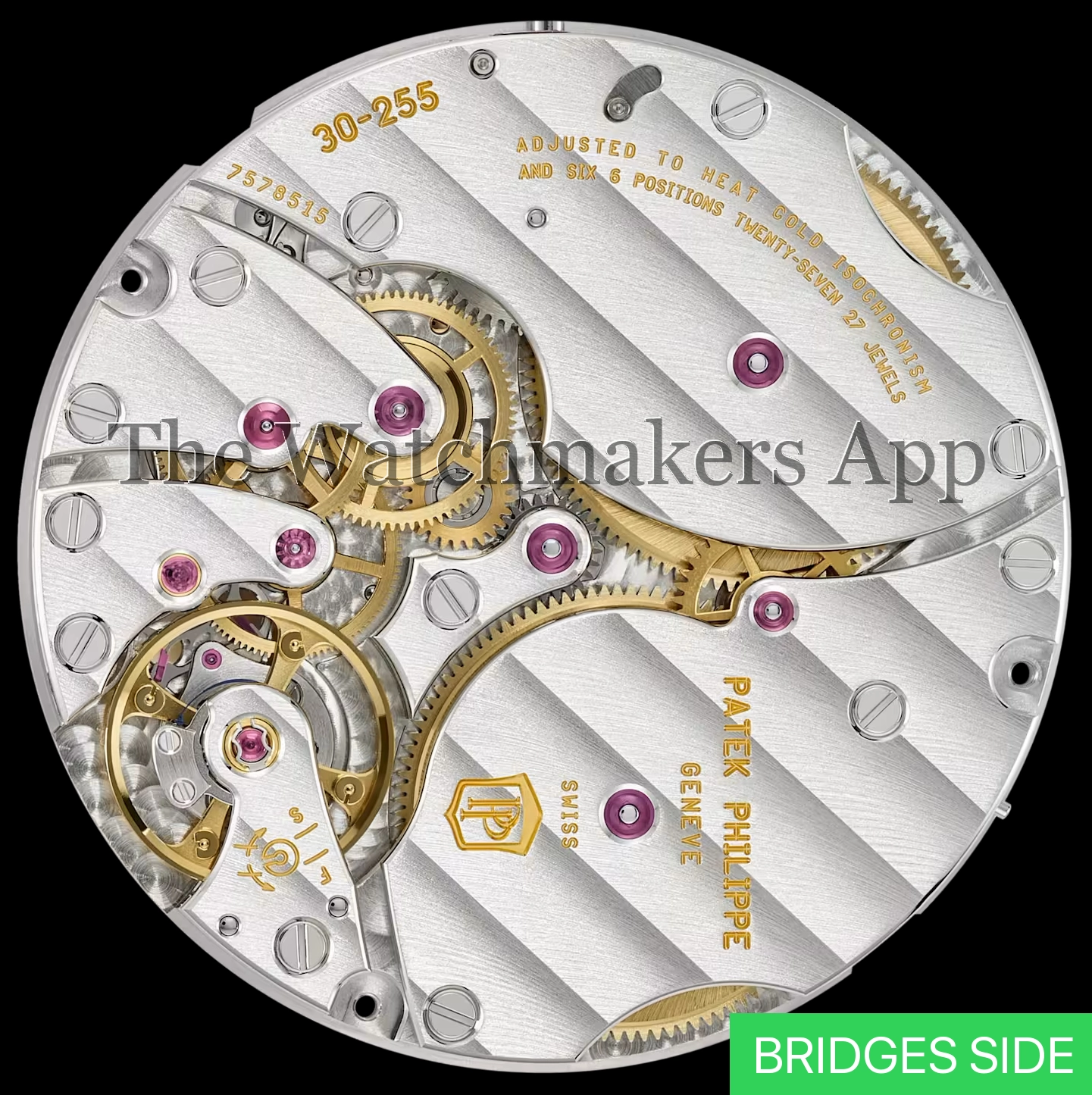 Patek Philippe 30-255 PS
