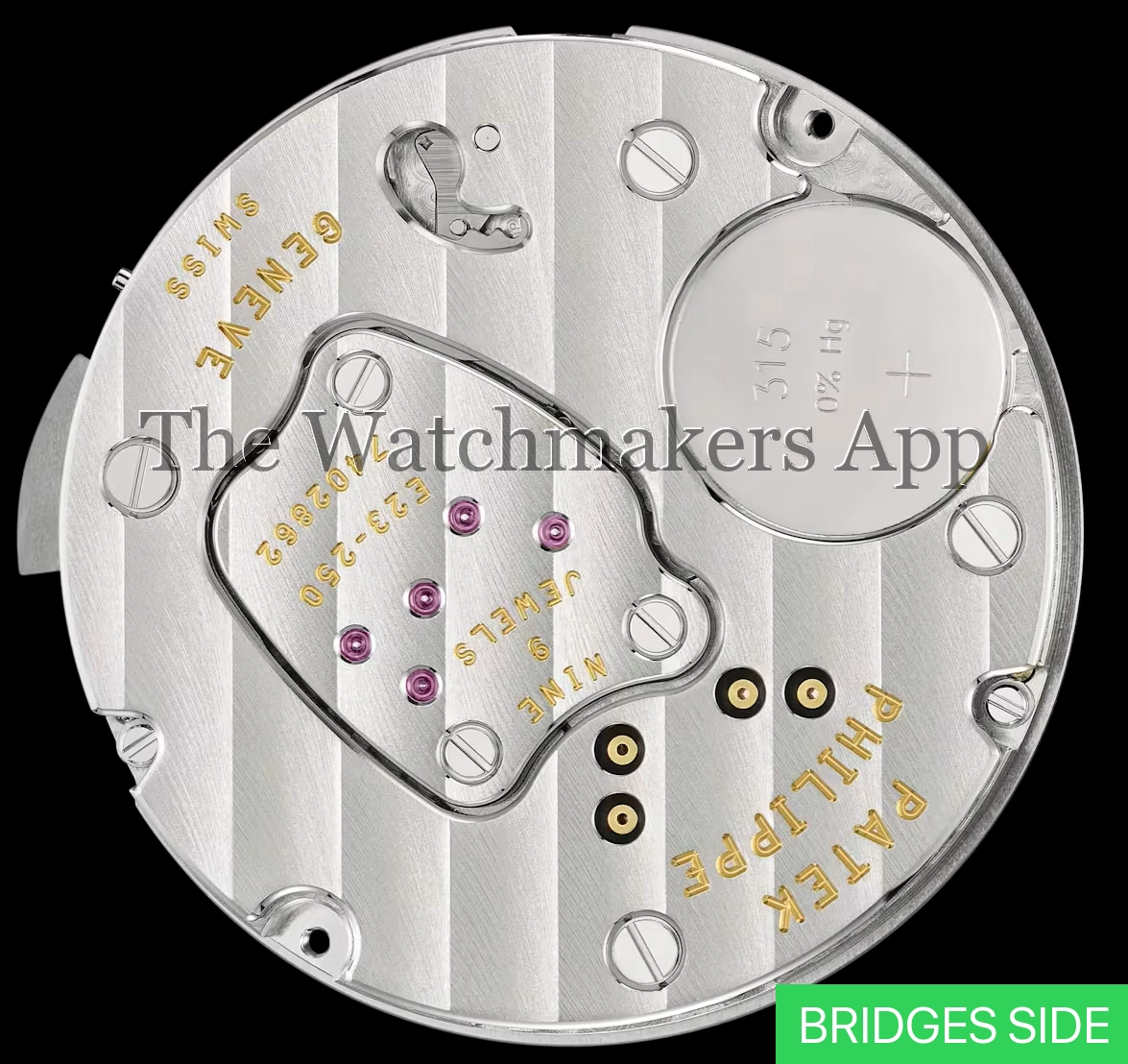 Patek Philippe E 23-250 S FUS 24H