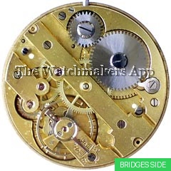 Perfecta 18.5'''H4.9