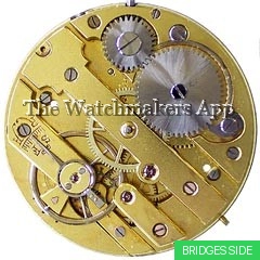 Perfecta 18.5'''H5.6 Cyl