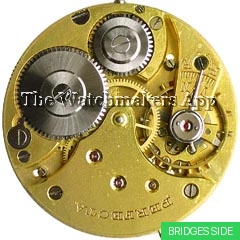 Perfecta 18.5'''H6.6