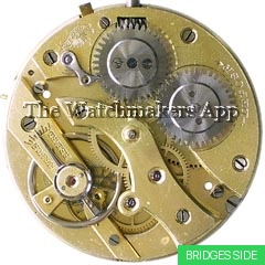 Perfecta 18.5'''H6.9