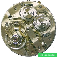 Phenix Croissant 18'''