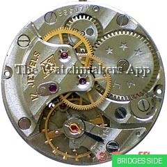 Спортивные (41M)