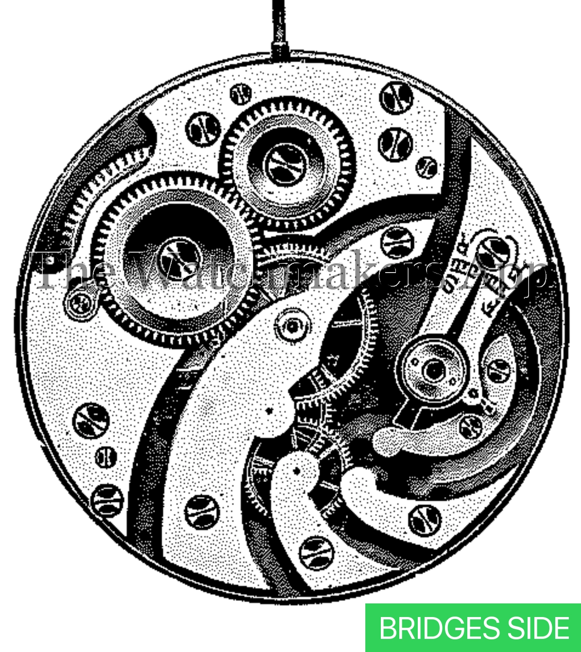 Venus 133, 16''' H3.85