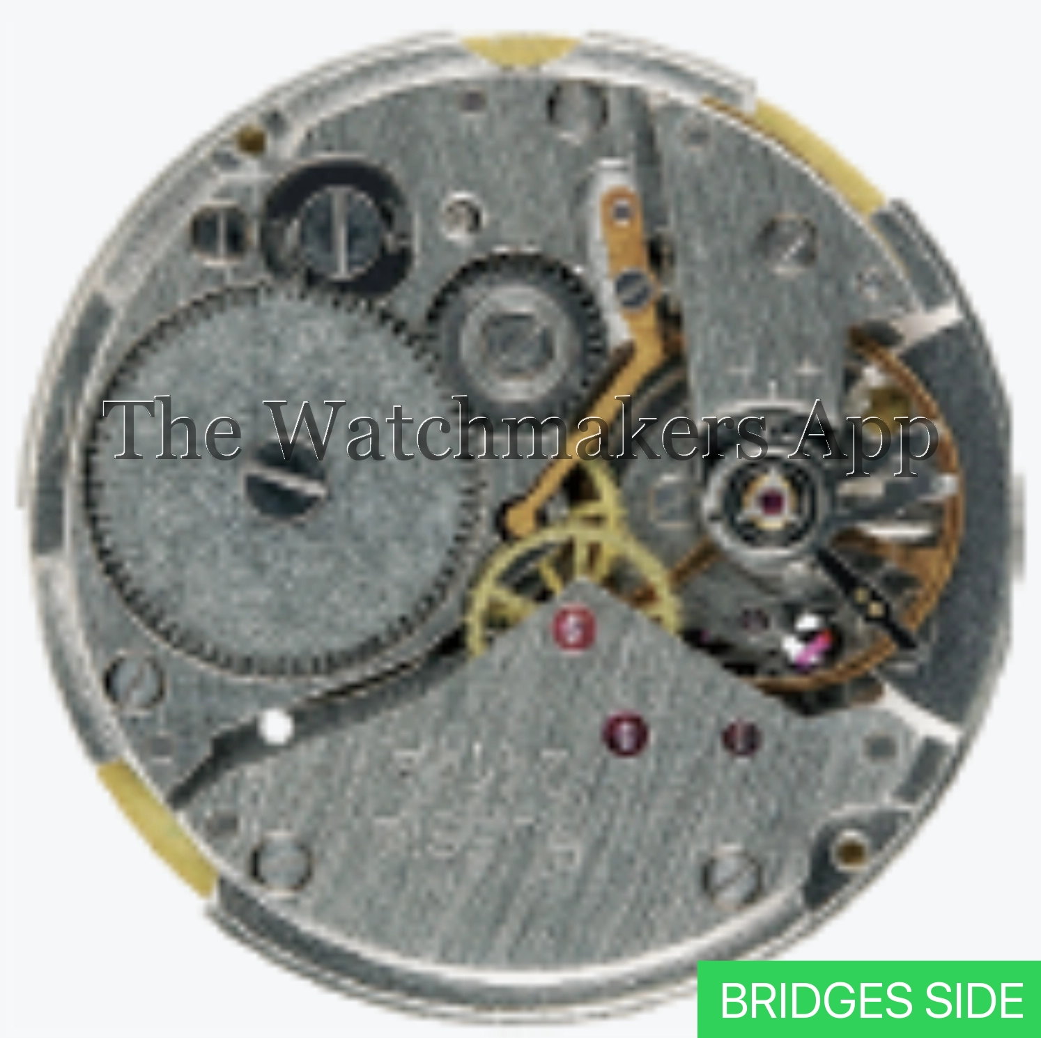 Восток 2423.01