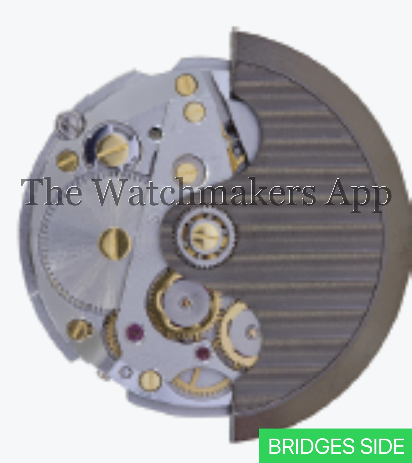 Восток 2431.01