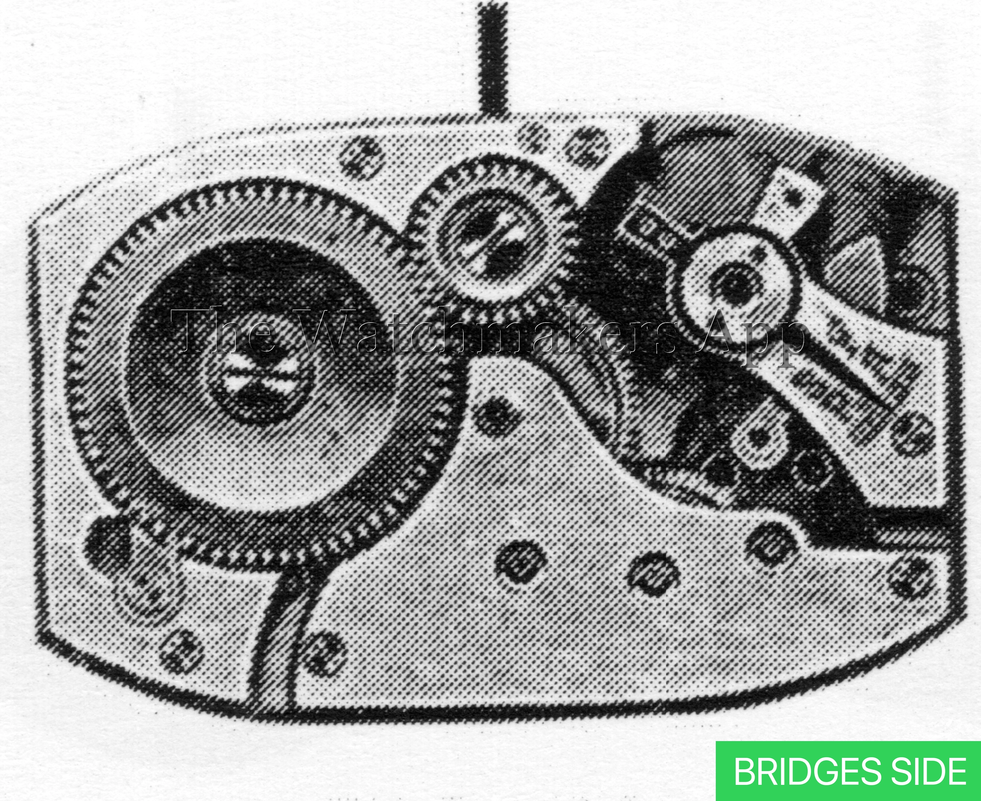 AM 230